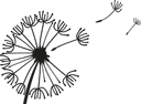 Pusteblume e.V. Kindertagesstätte Logo